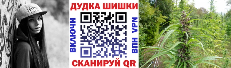 Где найти наркотики Бородино ГАШ APVP Мефедрон Псилоцибиновые грибы Бошки Шишки
