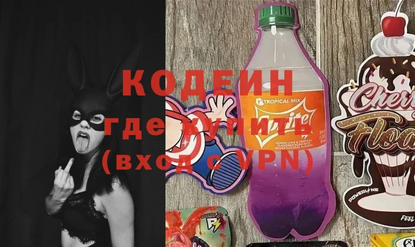 СК Сосновый Бор