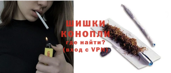 ПСИЛОЦИБИНОВЫЕ ГРИБЫ Белокуриха