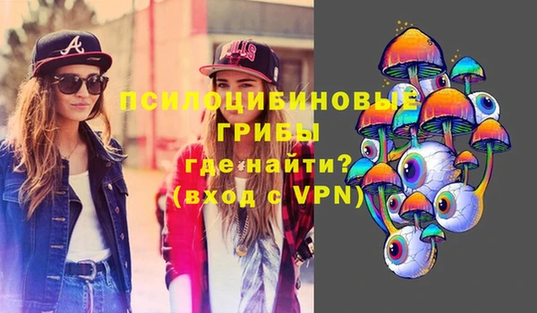 ПСИЛОЦИБИНОВЫЕ ГРИБЫ Белокуриха