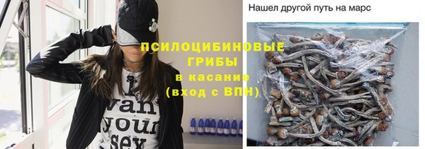 ПСИЛОЦИБИНОВЫЕ ГРИБЫ Белокуриха