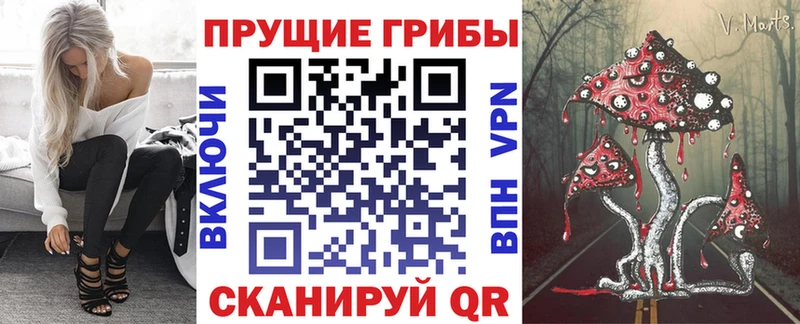 Галлюциногенные грибы ЛСД  Бородино 